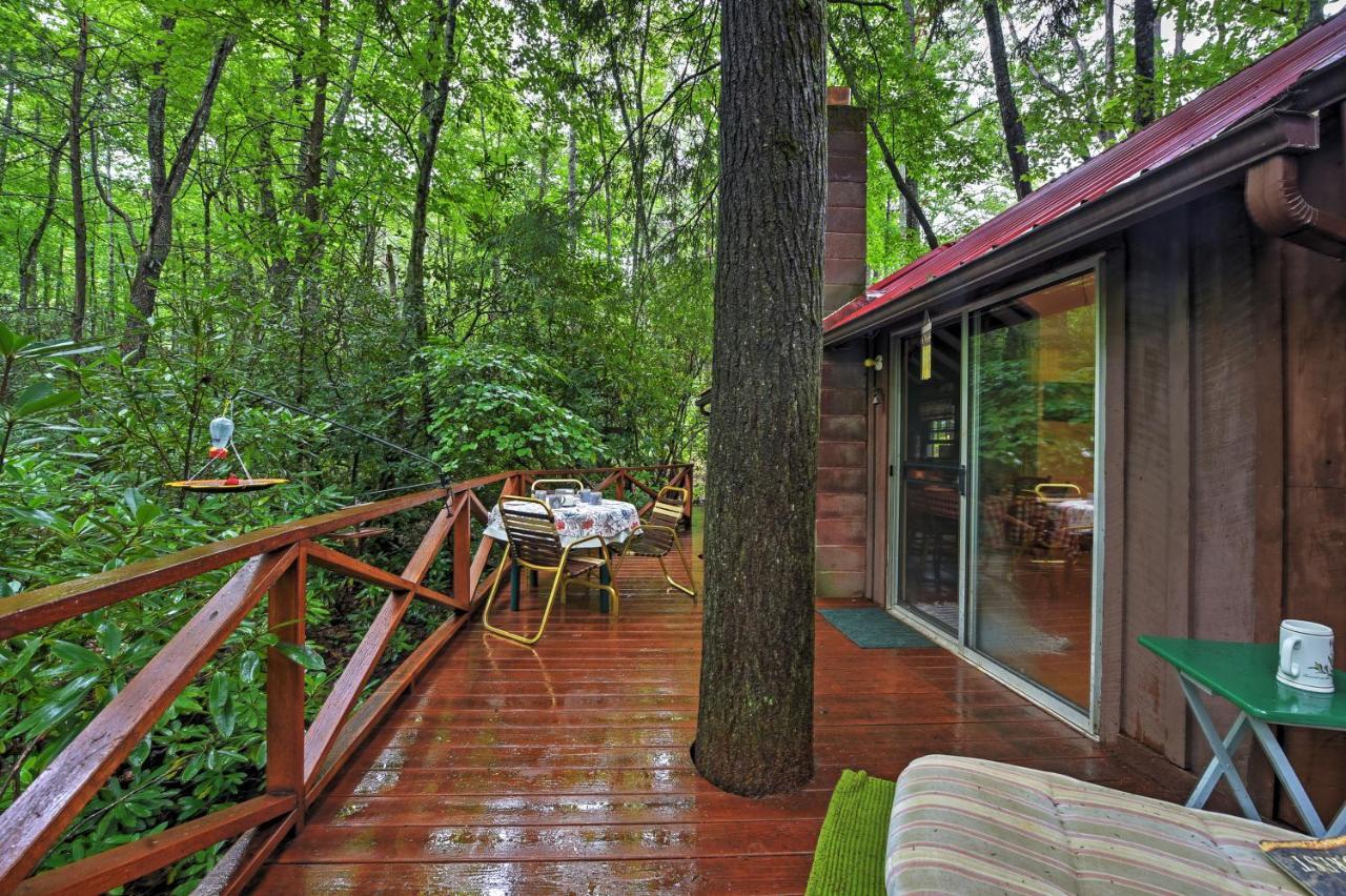 Serene Creekside Cottage Near Asheville Fire Pit Candler Kültér fotó